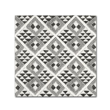 Wild Apple Portfolio 'African Wild Pattern II BW' Canvas Art,24x24